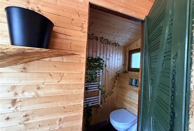 Casa de vacanta cu panorama  spre lac - 19