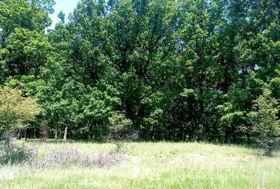 Teren de 6350 mp, în Trivale - 1