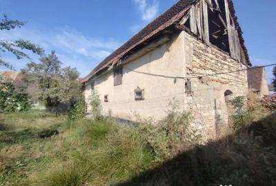Casă cu 4 camere cu Teren 6700 Mp în Dorolea - 10