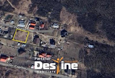 Teren Intravilan - Hlincea (Ciurea) 1000Mp - 3