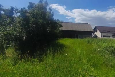 Teren de 10000 mp, în Măneuți - 2