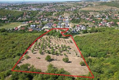 Teren de 14000 mp, în Central - 5