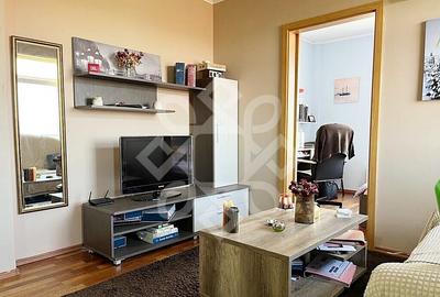 Apartament cu 2 camere de inchiriat in Luceafarul, Oradea - 8