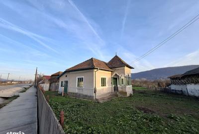 Casă cu 5 camere cu Teren 4443 Mp în Nicolae Bălcescu - 2