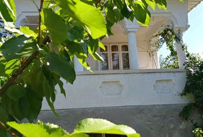 Casă cu 3 camere cu Teren 500 Mp în Dobrița - 1