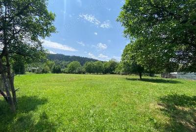 Casă cu 3 camere cu Teren 2000 Mp în Vad - 3