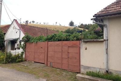 Casă individuală cu 14 camere cu Teren 1439 Mp în Brădișoru de Jos - 36
