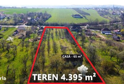 Casă cu 2 camere cu Teren 4395 Mp în Burdea - 3