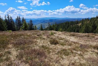 Spațiu comercial, în Petreasa - 3