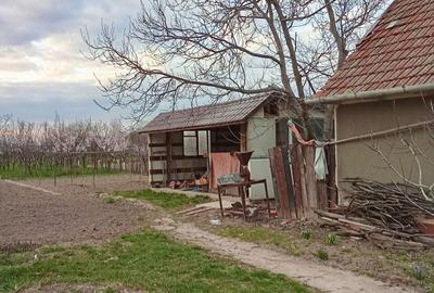 Casă cu 2 camere în Cermei - 2