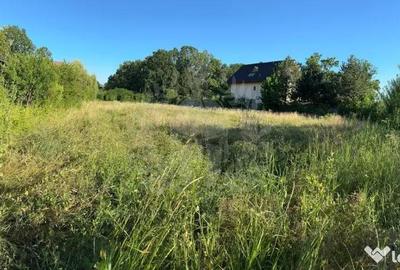 Teren în Păulești - 5