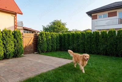 Utimele 5 vile disponibile-Vila 5 camere Ciorogarla, toate utilitatile FINISATA - 7