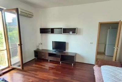 Apartament Medicina ISHO Vivalia Take Ionescu Badea Cartan Tipografilor Central - 2