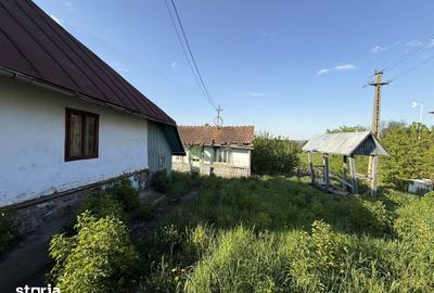Casă cu 3 camere cu Teren 3200 Mp în Brusturi - 6