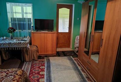 Casă individuală cu 4 camere cu Teren 12000 Mp în Rapoltu Mare - 6