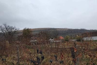 Casă cu 4 camere în Păuliș - 4