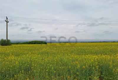 Reco, teren intravila la E60 sacadat - 2