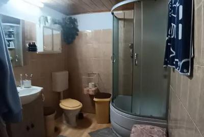 Casă cu 4 camere cu Teren 2300 Mp în Valea Borcutului - 2