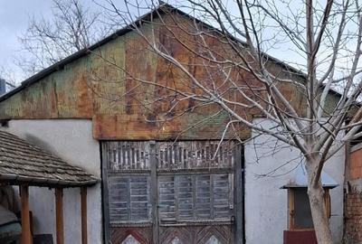 Vand la 300 m fata de dunare in pojejena Vand la 300 m fata de dunare in pojejena - 5