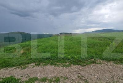 Teren pentru casa intravilan , 800 mp deschidere la drum Bod - 5