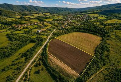 Teren de 24421 mp, în Uileacu de Munte - 3