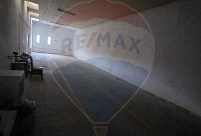 Ansamblu casa de locuit, hala productie ,spatiu de birouri si teren - 16