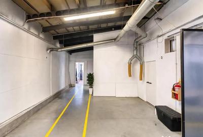 Spațiu comercial, de 1,341 mp, în Valea Crișului - 9