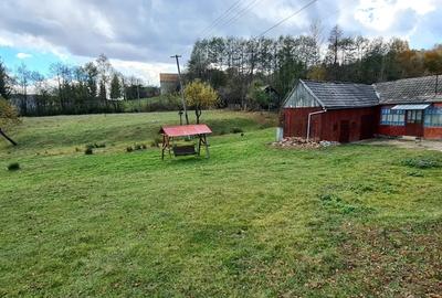 Casă cu 2 camere cu Teren 5000 Mp în Central - 2