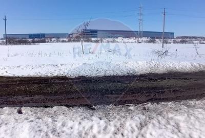 Teren Construcții intravilan de 9000 mp, în Nord-Vest - 7