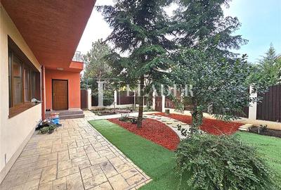 Casă cu 4 camere cu Teren 400 Mp în Iancu Nicolae - 3