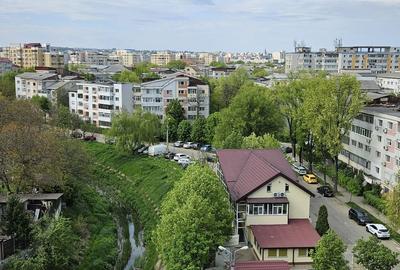 Garsonieră decomandată în Nicolina - 8