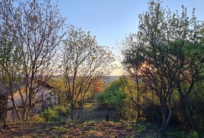 Spațiu comercial, în Valea Lupului - 1