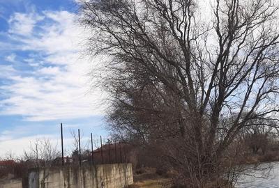 Teren de vanzare la Lac, Corbeanca - 8