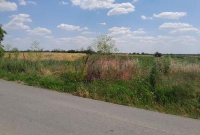 TEISORI /GR - 2 LOTURI LIPITE (TOT. 16500 MP) DE VZ 100K EUR NEG - 7