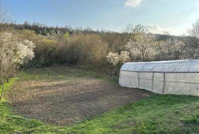 Teren de 1323 mp, în Vârvor - 8