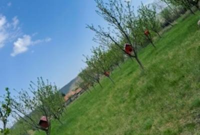 Spațiu comercial, în Unguriu - 1