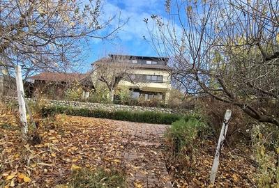 Daesti, jud. Valcea - 3