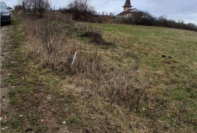 Teren de 5487 mp, în Sânmartin - 4
