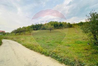 EXCLUSIVITATE! Teren 2339 mp in Barsana - Comision 0%! - 3