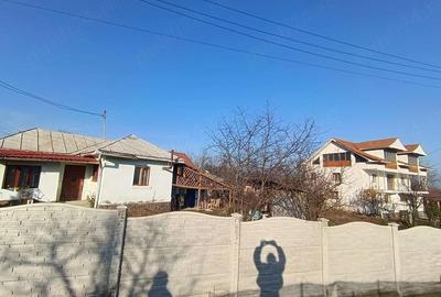 Casă cu 3 camere cu Teren 700 Mp în Ionești - 1