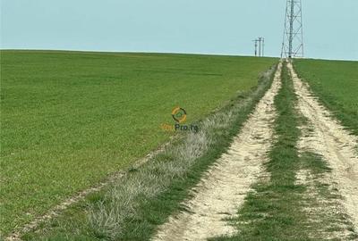 Teren de 182000 mp, în Central - 2