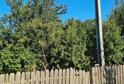 Casă cu 4 camere cu Teren 1578 Mp în Țăndărei - 2