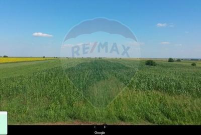 Teren 11906 mp extravilan, rezidential, industrial - in Berceni - 4