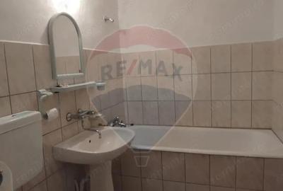 Apartament cu 3 camere, de inchiriat, in Baia Mare - 5