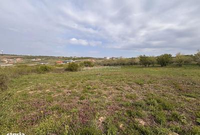 Spațiu comercial, în Paleu - 7