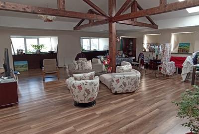 Vanzare spatiu productie 800 mp  D+P+Et1+M zona Rahova Bucuresti sector 5 - 24