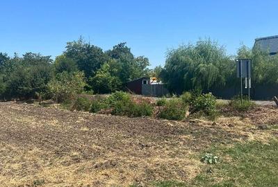 Spațiu comercial, în Sălciile - 1