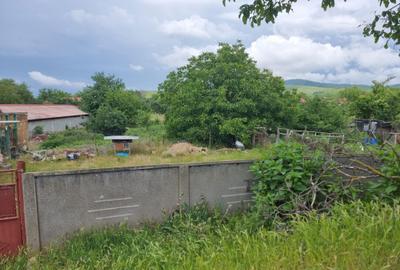 Casă cu 3 camere în Ghioroc - 6