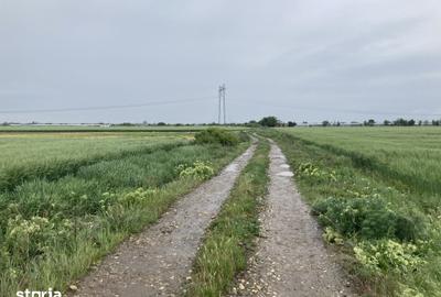 Teren de 4801 mp, în Săbăreni - 1