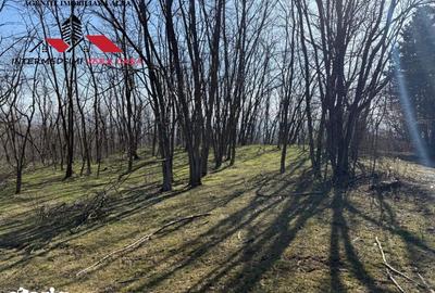 Teren de 28900 mp, în Vințu de Jos